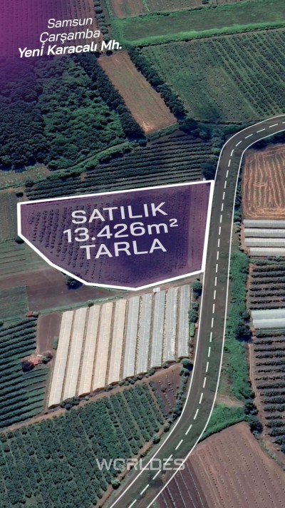 SAMSUN ÇARŞAMBA YENİKARACALI MAHLLSİNDE 13.426 m2 FINDIK BAHÇESİ